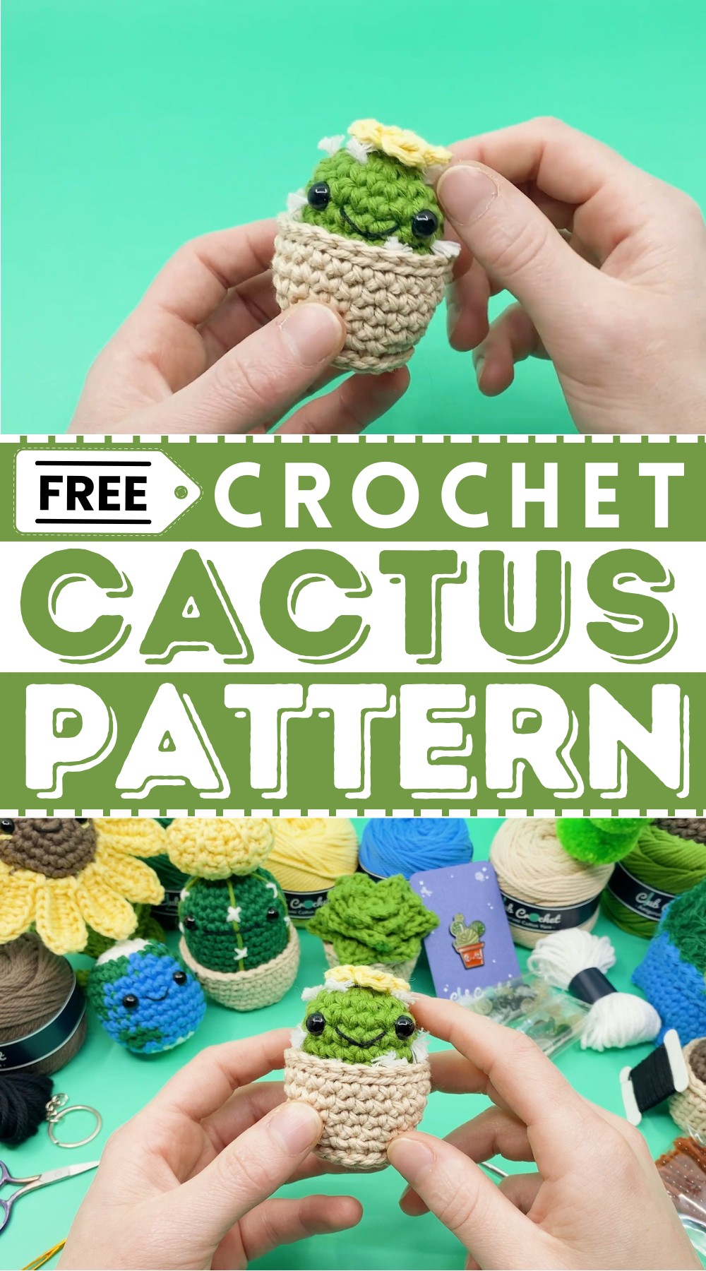 Beginner Cactus Crochet Pattern