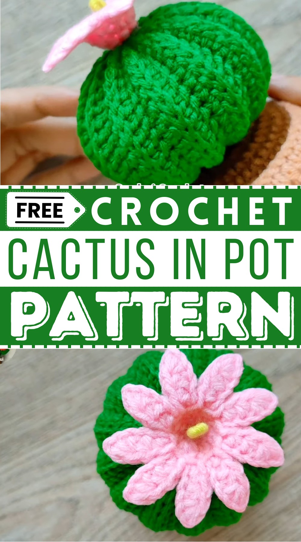 Crochet Cactus in pot tutorial&nbsp;