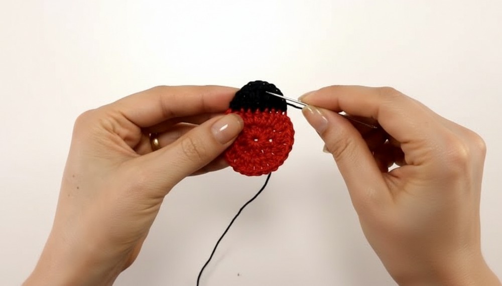 Crochet Ladybug