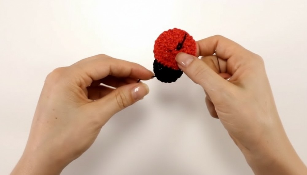 Crochet Ladybug