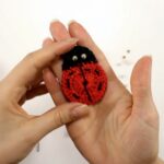 Crochet Ladybug