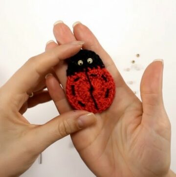 Crochet Ladybug