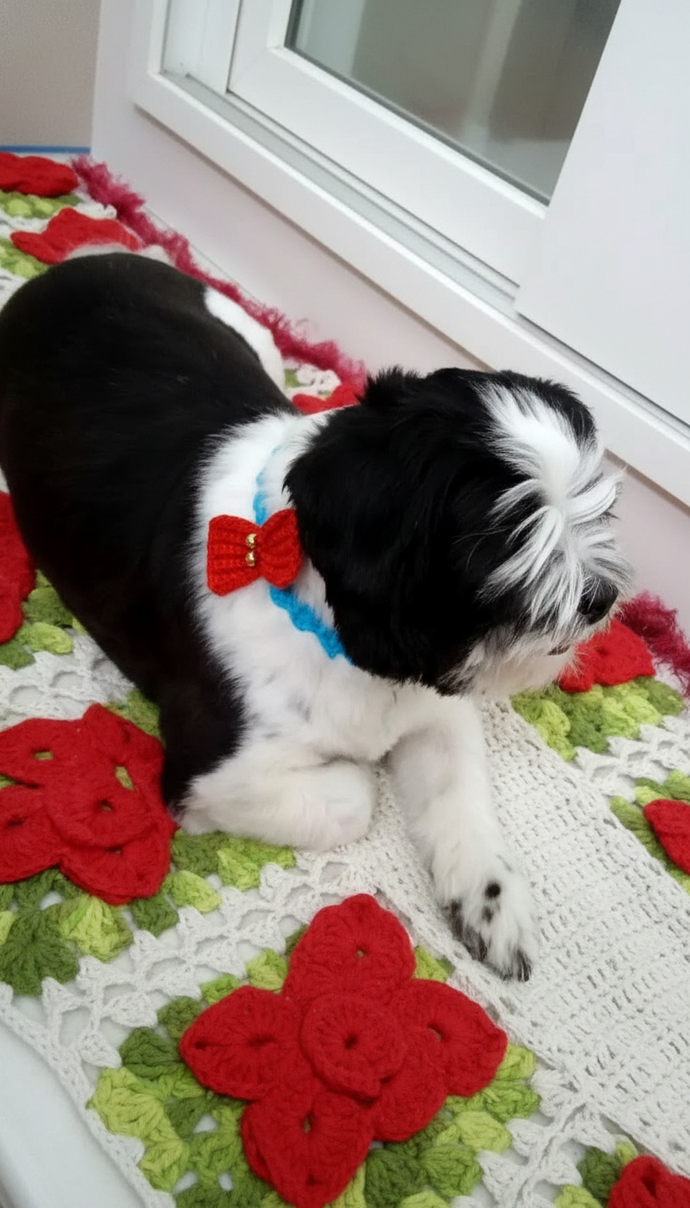 Crochet Dog Collar Bow