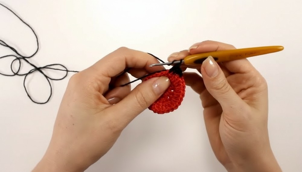 Crochet Ladybug