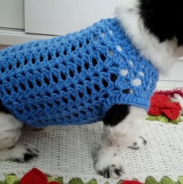 Crochet Sweater Dog