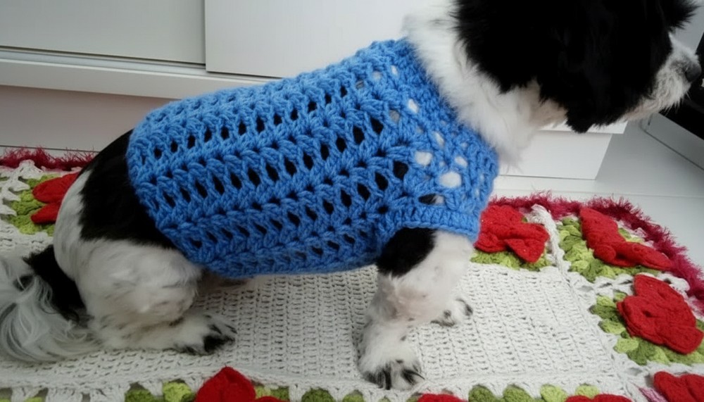 Crochet Sweater Dog