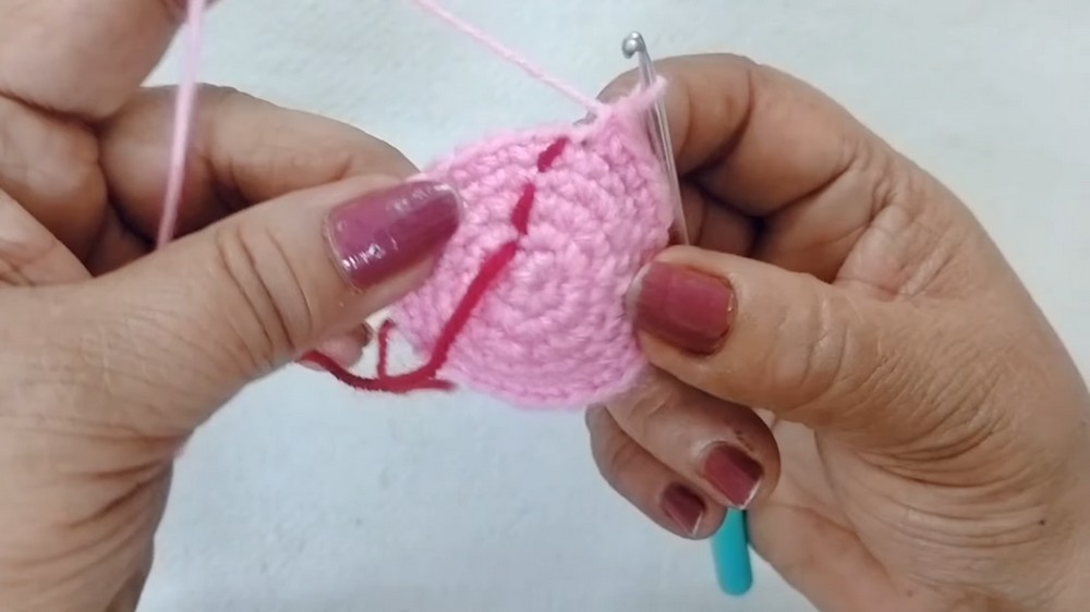 Crochet Pig Amigurumi