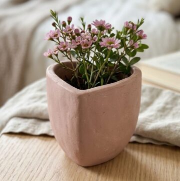 Air Dry Clay Flower Vase