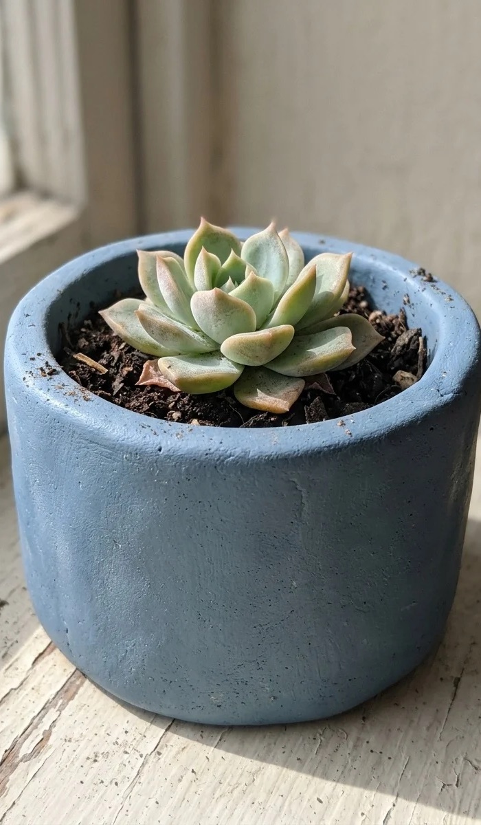 Blue Clay Mini Planter DIY